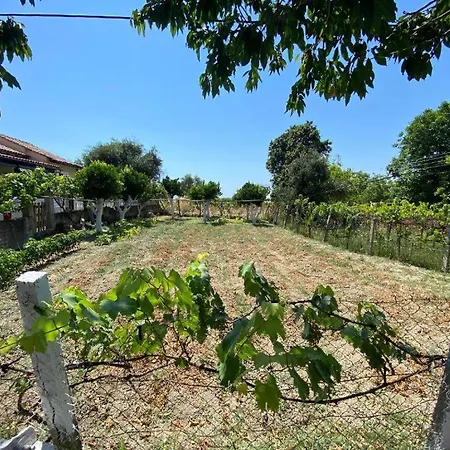 Διαμέρισμα Lemon Tree